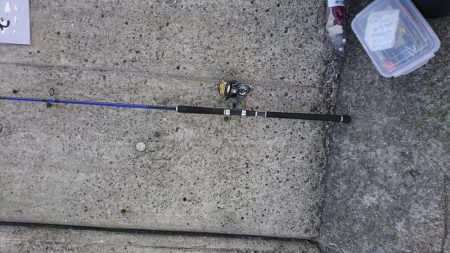 これはぶりじや