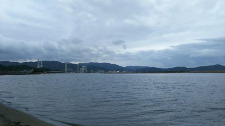 アオリイカのはずが、