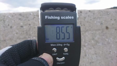 ボチボチエギング