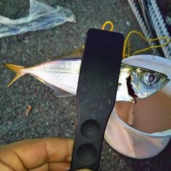 スーパームーンアジング