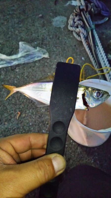 スーパームーンアジング