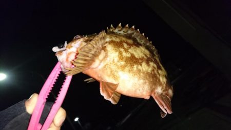 粘った結果……