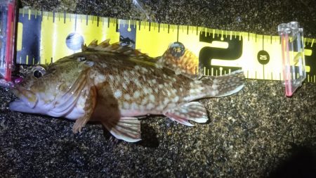 ちょっとメバリング