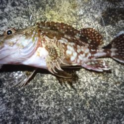 ちょっと仕事終わりに