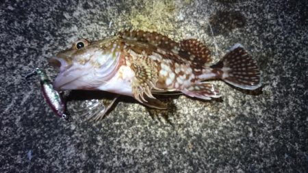 ちょっと仕事終わりに