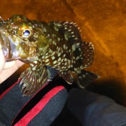 極寒フラフラアジング！