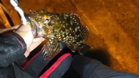 極寒フラフラアジング！