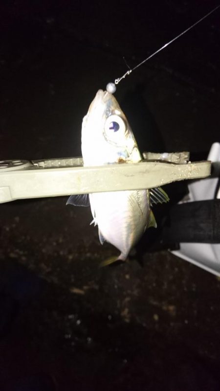 南蛮漬け(予定)