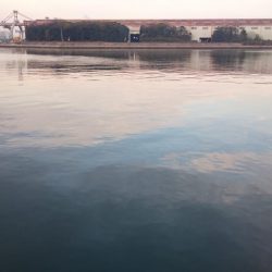 X\’masｲﾌﾞ タチウオ釣行