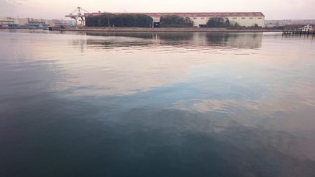 X\’masｲﾌﾞ タチウオ釣行