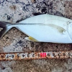 いきなりのダブルヒット