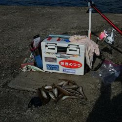 早朝サンドワームなら1投目からヒットしました。