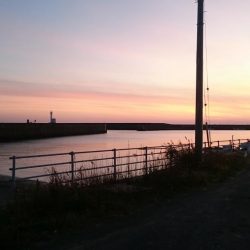 アオリイカ年末ジャンボ狙いで