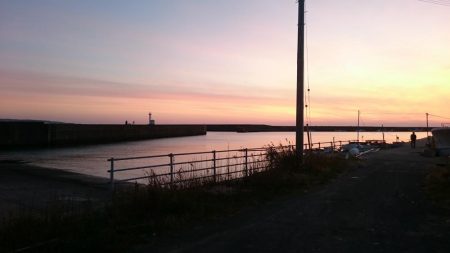 アオリイカ年末ジャンボ狙いで