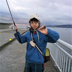 次男とサヨリ釣り