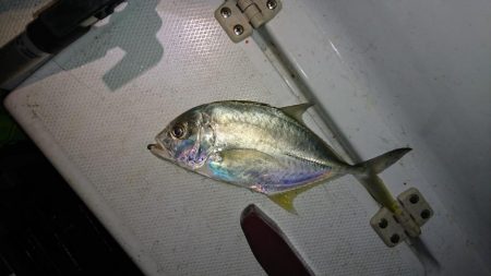 久しぶりのボートアジング