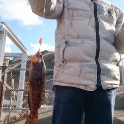 爆風の中、根魚狙い