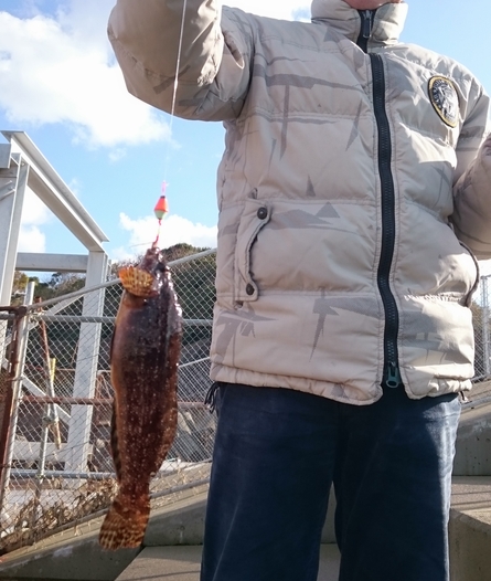 爆風の中、根魚狙い