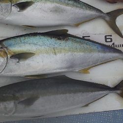 2連チャンジギング