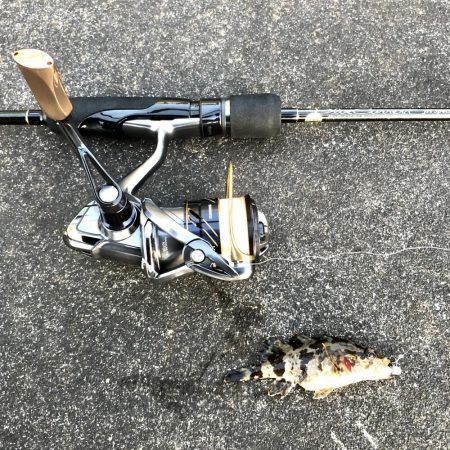 マイクロックフィッシュ