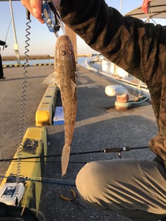 落とし込みでまさかのボラ⁈