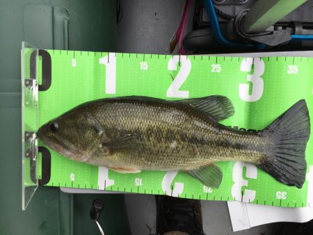 冬のランカーバス