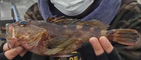 穴釣りランガン♪