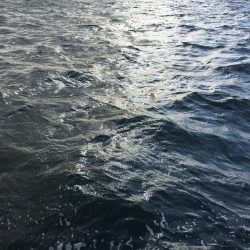 １００均ルアーでツバスゲット！