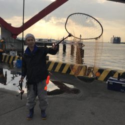 今年最後のノマセです