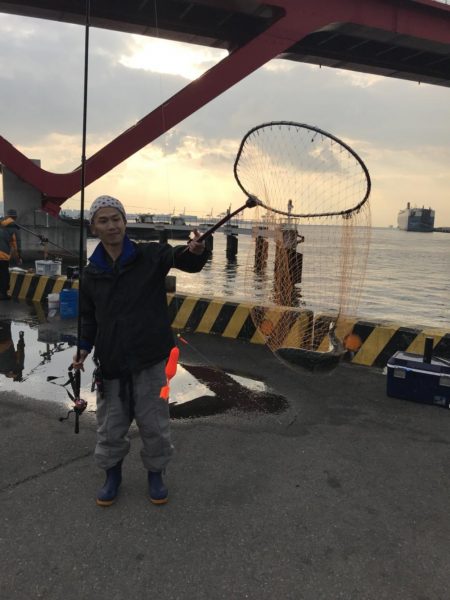 今年最後のノマセです