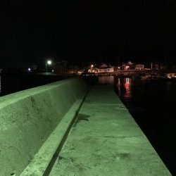 ナイターでメバル・カサゴ