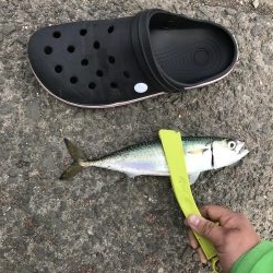 花市場前にて！