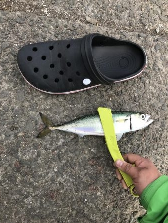 花市場前にて！