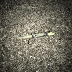 タチウオ終盤戦