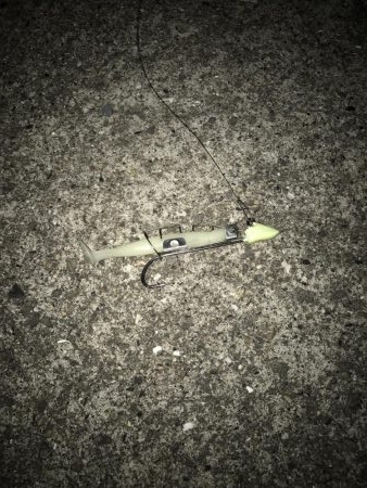 タチウオ終盤戦