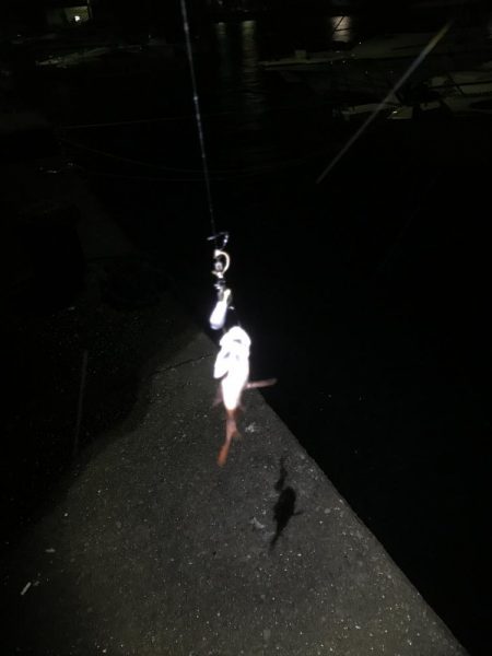 クリスマス釣行