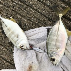 ダブルメッキ！