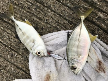 ダブルメッキ！