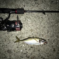 湾奥ライトゲーム