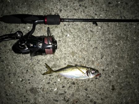 湾奥ライトゲーム