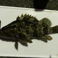 極寒ライトゲーム