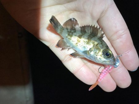 ライトゲーム岬