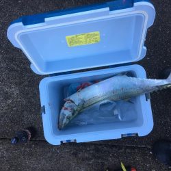 久しぶりの沖堤♫