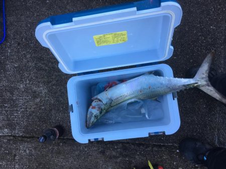 久しぶりの沖堤♫