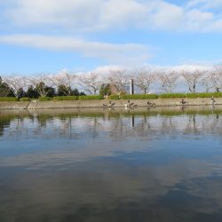 東山湖忘年釣行