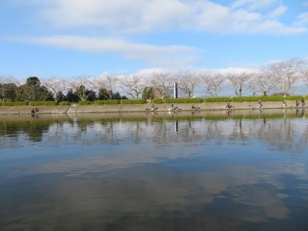 東山湖忘年釣行