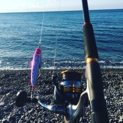 ショアジギング