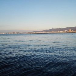 サイズダウンしてますが、アタリ多いです