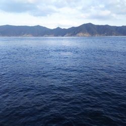 ショアジギング