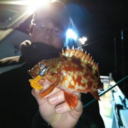 釣人家・西宮 ロックフィッシュショート便